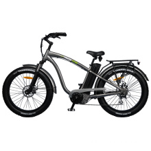 Fat Tire Lithium Electric Bike with Hidden Battery